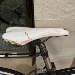 スコットの画像