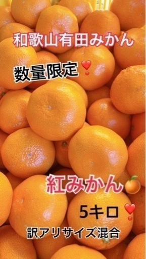 有田みかん　紅みかん訳アリ