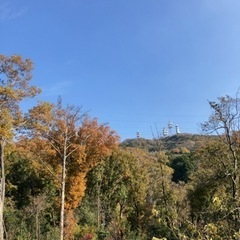 【12月23日午後開催！】生駒山サクッと登山トレーニング✨