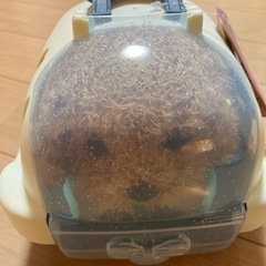 ★新品未開封　おでかけワンちゃん　★の画像