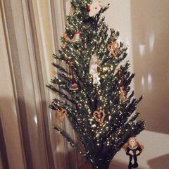 クリスマスツリーの画像