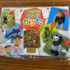 いきものはかせ かるた追加‼️ひらがな カード 公文 くもん  学習　教育　知育　勉強　※百均カード付の画像