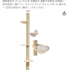 値下げ‼️キャットタワーの画像
