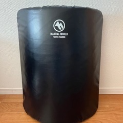 MARTIAL WORLD マーシャルワールド 軽量ダミーミット　空手