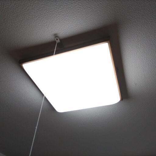 電気電球１９日、午前中までの取り引きとなります。全部で３つあります。