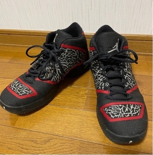 スポーツ Air Jordan xx9 27.5cm