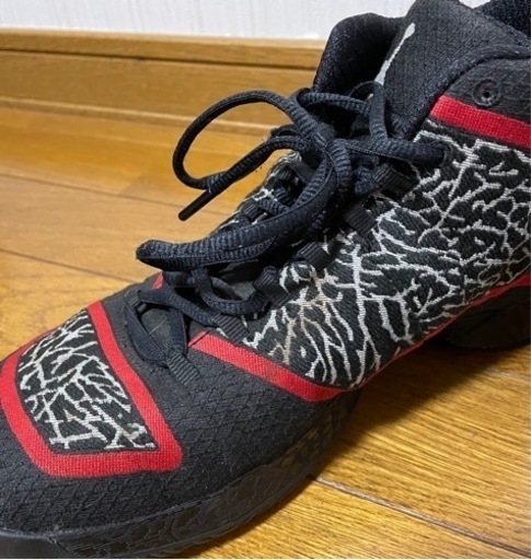 スポーツ Air Jordan xx9 27.5cm