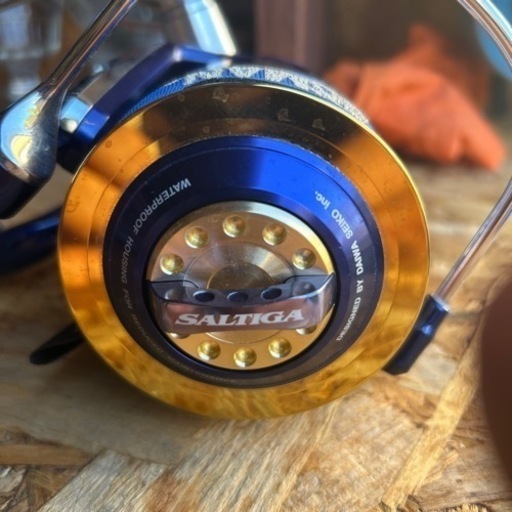 ソルティガ　6500リール