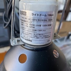 エキゾテラ　ライトドームの画像