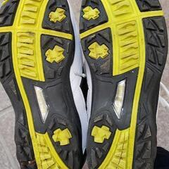 BlackHorse　WATERPROOF　ゴルフシューズ　25.5EEE　数回使用の画像