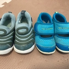 13cm14cmベビーシューズ  ダイナモ