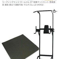 懸垂マシン リーディングエッジ ホームジム ST 保護マットセッ...