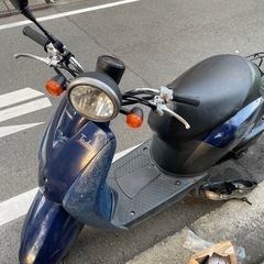 【不動】ホンダ　トゥデイ【原付】