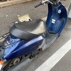 【不動】ホンダ　トゥデイ【原付】の画像