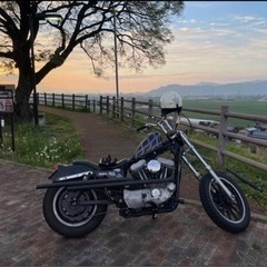 Harley-Davidson ハーレーダビッドソン ハーレー スポーツスター 883の画像