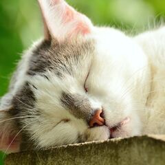 いまの仕事が辛くてしかたない😿 働き方を見直してみませんか？