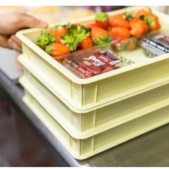 ダイソーのミニコンテナ