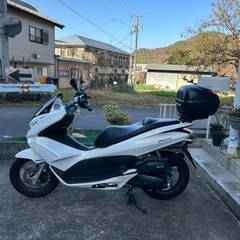 お話中です。値下げしました！ホンダ PCX 125 走行距離少なめ！の画像