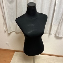 ボディ、トルソーの画像