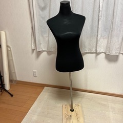 ボディ、トルソー