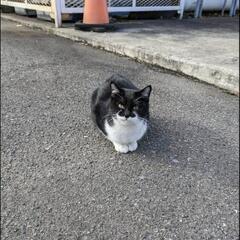 里親募集