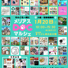 2024年1月20日メリアスdogマルシェ　犬イベント　ドッグマ...