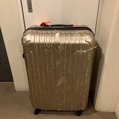 大型キャリーケース　スーツケース　Lサイズ　97L