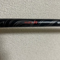 ゴールデンプリックスRXの画像