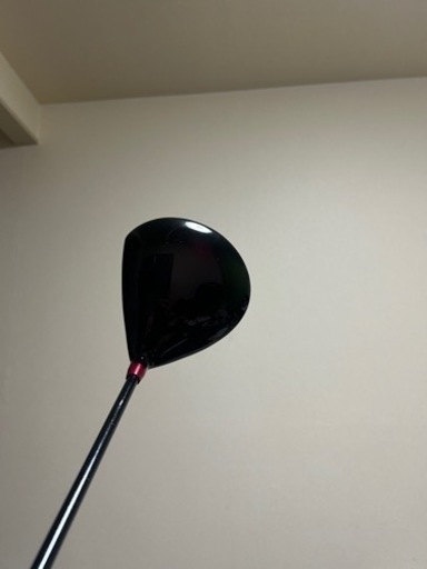 ゴールデンプリックスRX