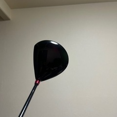 ゴールデンプリックスRXの画像