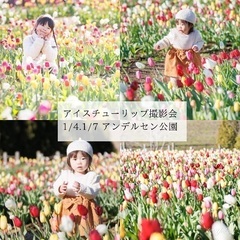 1/4.1/7【アイスチューリップ撮影会】船橋アンデルセン公園