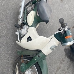 リトルカブの画像