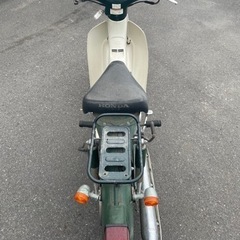 リトルカブの画像