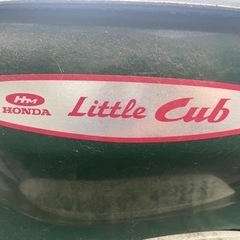 リトルカブの画像