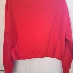 数回のみ着用【Fサイズ】earth レディース　服　の画像