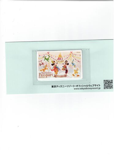 タイトル：東京ディズニーリゾート 入場券　期限　2024.1.31 １枚　+ 20251.31 １枚  計2枚