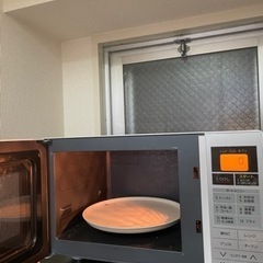 アイリスオヤマ　電子レンジ　ジャンクの画像