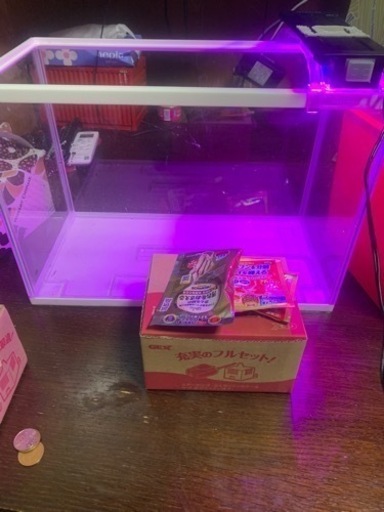 GEX 充実フルセット　金魚など観賞魚に
