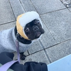 犬友募集🐕‍🦺 − 東京都
