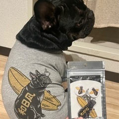 犬友募集🐕‍🦺 - メンバー募集