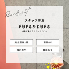 オープニングスタッフ募集！