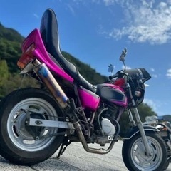 HONDA エイプ50