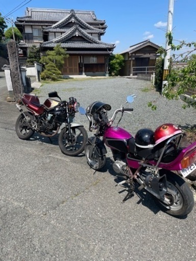 HONDA エイプ50