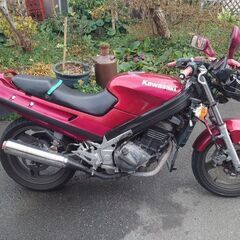 zzr250
