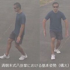ブログ清朝末式八卦掌女性護身術講座『八卦掌の有名な「構え」では護...