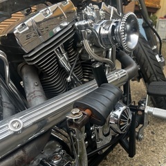 Harley Davidson SOFTAIL TC88の画像