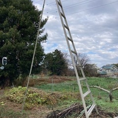 ハシゴ・脚立