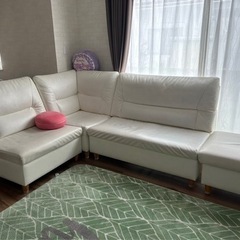 買い替えの為