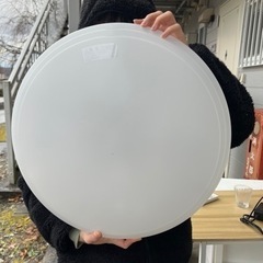 電球