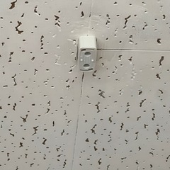 電球の画像